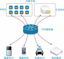 数据流量共享系统与网络设备技术服务深度剖析